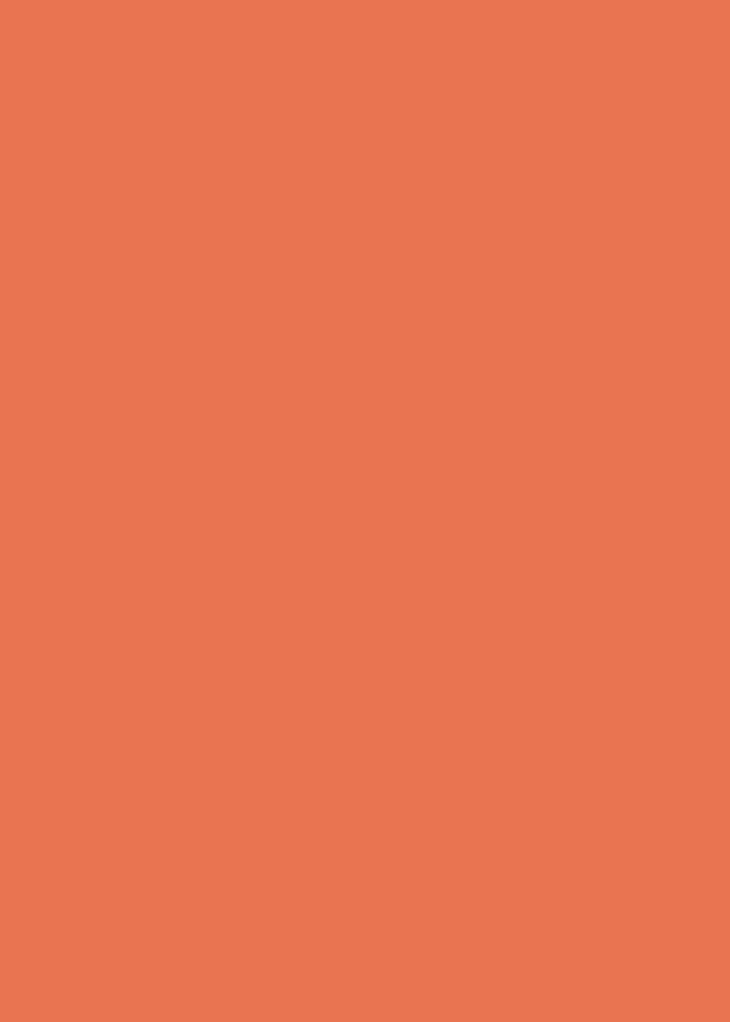 Coral Large Vinyl Photography Backdrop by Club Backdrops