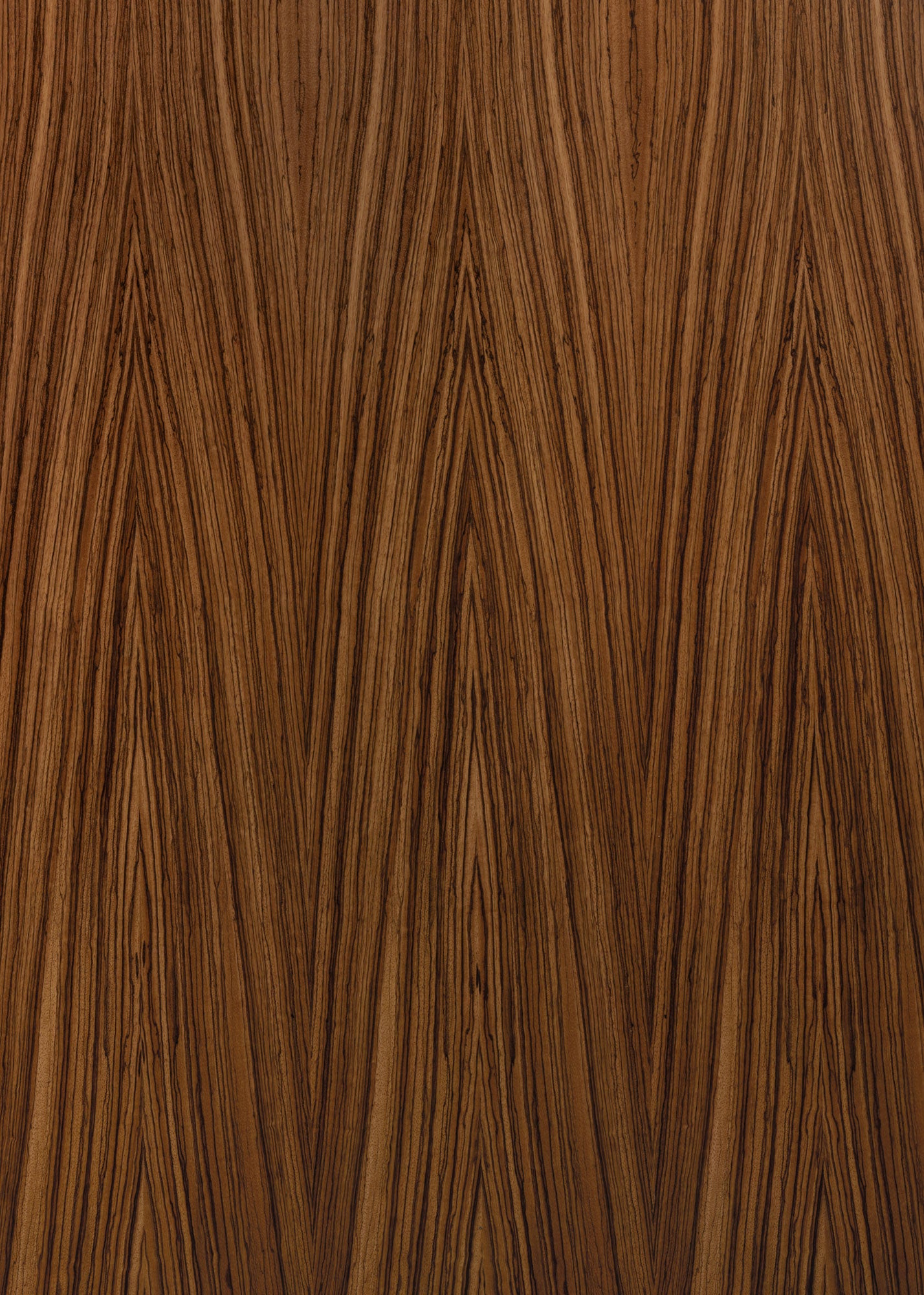 Zebra Wood Vinyl Photography Backdrop by Club Backdrops