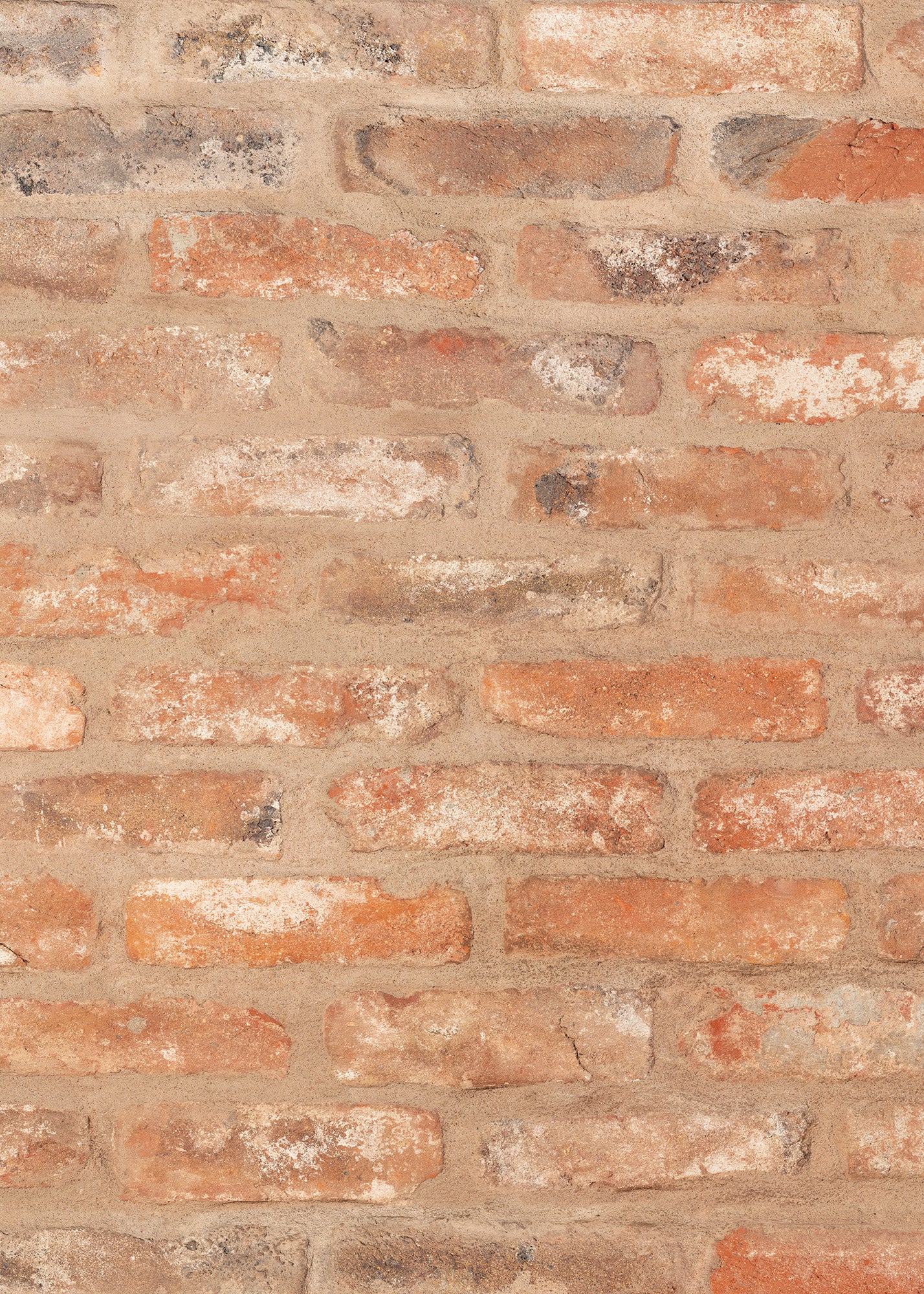 Basic Brick Vinyl Photography Backdrop by Club Backdrops