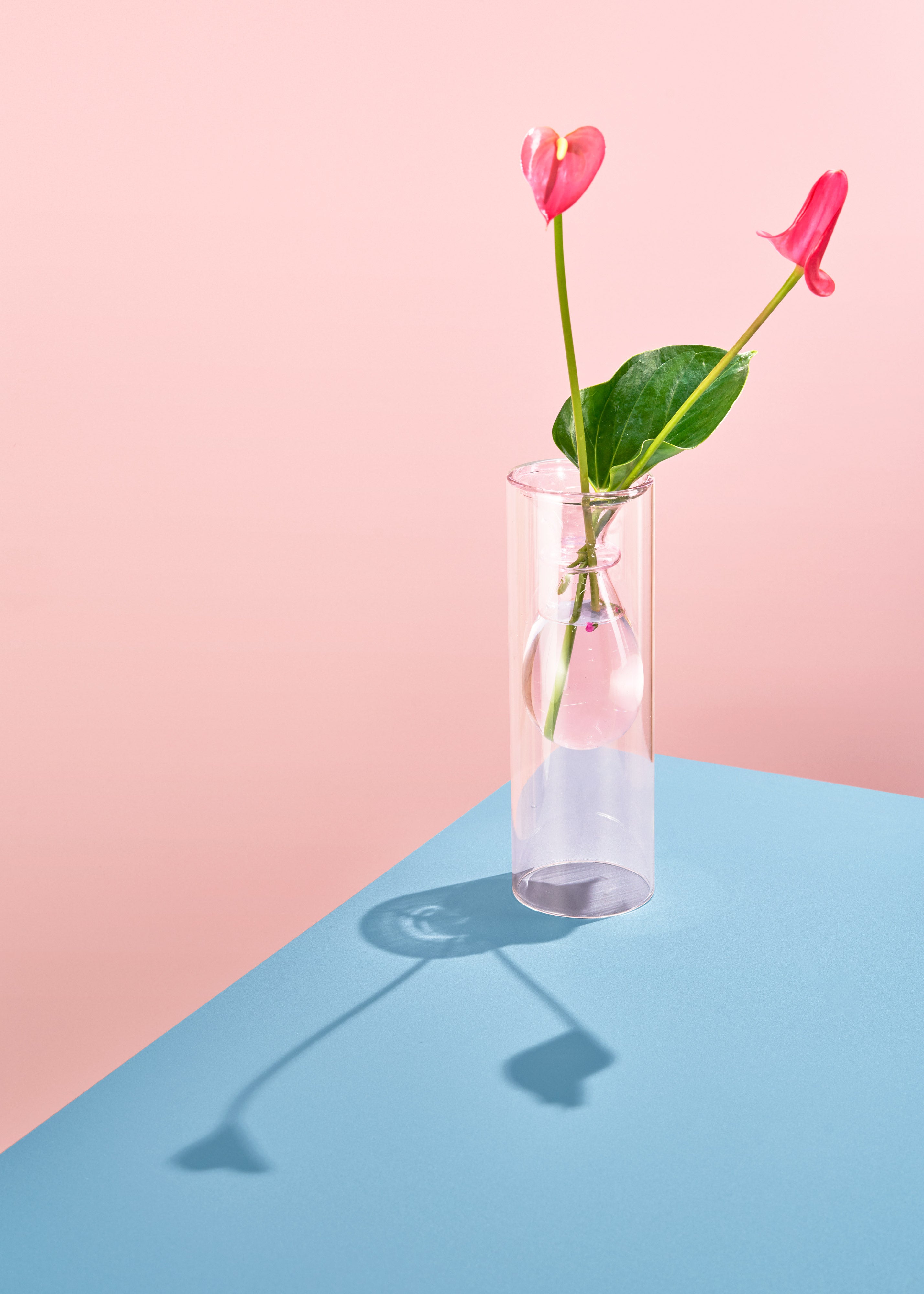 Flat Pink Vinyl Backdrop for Product & Food Photography – Club Backdrops