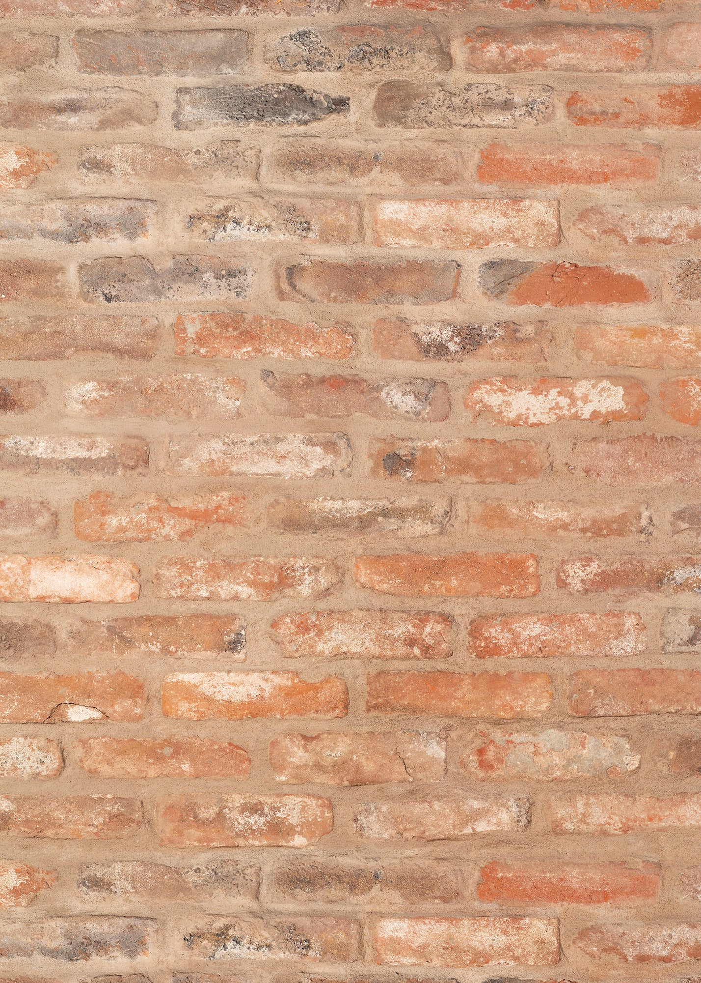 Basic Brick Large Vinyl Photography Backdrop by Club Backdrops